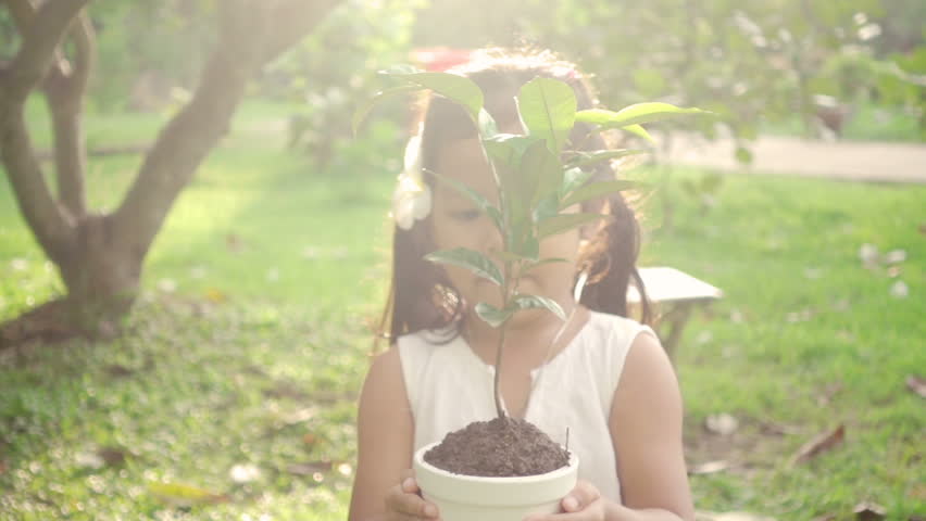 Close up of Asian children hold a young plant in garden with love. Concept of youth love in environmental conservation free day or holidays. Thai ethnicity Royalty-Free Stock Footage #30041488