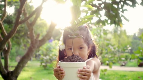 Close up of Asian children hold a young plant in garden with love. Concept of youth love in environmental conservation free day or holidays. Thai ethnicity