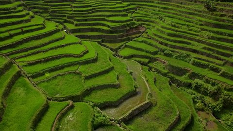 Batad Rice Terrace, aerial view of ancient Ifugao rice terraces carved into the mountain at Batad, northern Luzon, Philippines. 