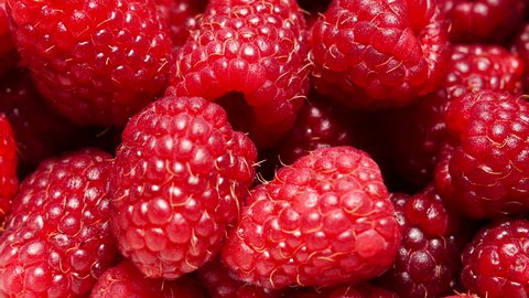 Fresh raspberry fruits as food background. Healthy food organic nutrition. 4K ProRes HQ codec