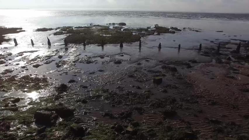 Tidal posts at low tide on a North sea estuary, coastal Yorkshire, England