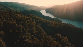 Forest Landscape Sunrise Over Water Cinematic Drone Footage Aerial Shot of a Pine Forest and River during Sunset in Europe Portugal Peneda Geres National Park in 4K