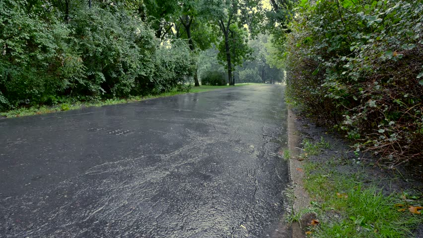 Person walking in the rain. Unrecognizable person walking in the green park.