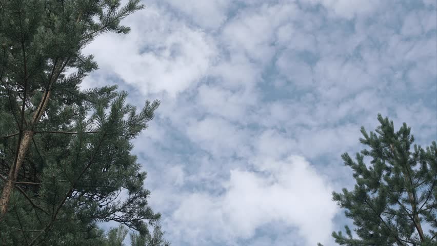 Time lapse of clouds. Clouds move on the sky.