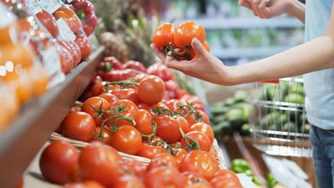 Woman's white hands take few colorful tomatoes in marketplace and hold. Closeup concept of selection and buying fruit or red vegetable. Young girl pick up some tasty freshness ingredient for cooking