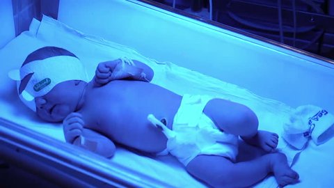 a Newborn unrecognizable baby in a perinatal center Hospital incubator. maternity hospital