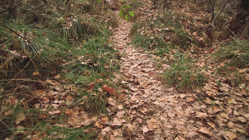Hiking trail in the remote mountain in Arizona, USA.