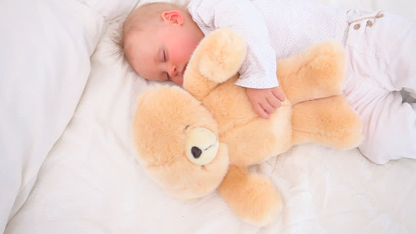 sleeping baby bear toy