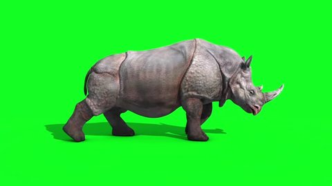 Rhinoceros Walkcycle Side Green Screen 3D Rendering Animation Animals