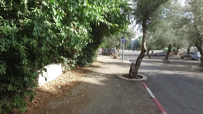 Walking Around Jerusalem.
