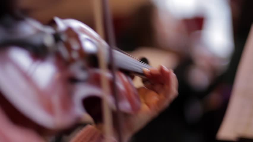 Musicant plays the violin | Shutterstock HD Video #30131644