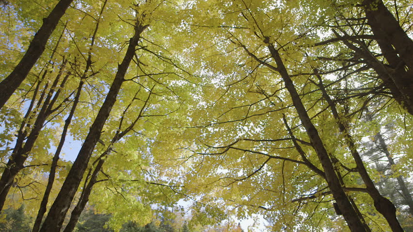 Moving pan shot of sunrise over a lake in the Adirondack Mountains.