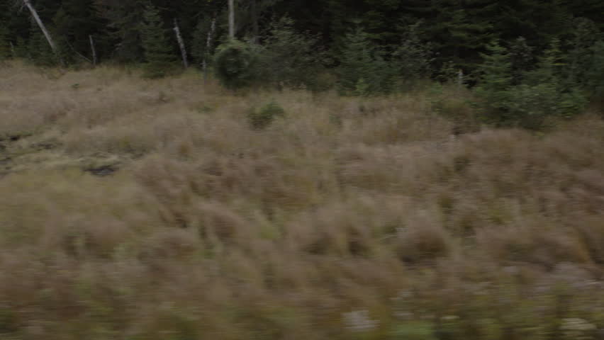 Moving pan shot of sunrise over a lake in the Adirondack Mountains.