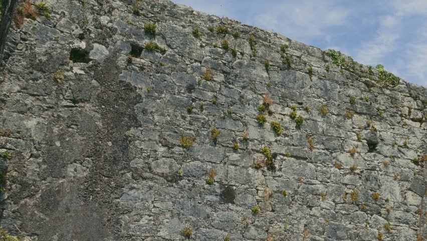 Kilcrea Friary, County Cork, Ireland - Graded Version