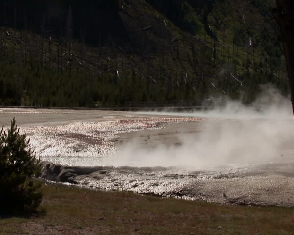 PAL: Geyser in Yellowstone National Park