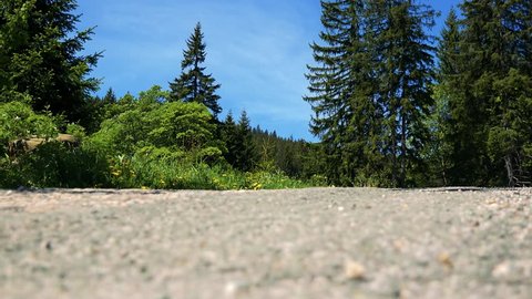 Young man walks along road in forest - summer sunny day - shot from the ground 