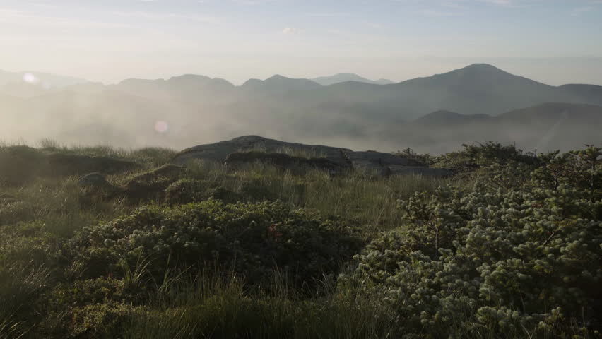 Majestic fog rolls over mountain summit during sunrise.