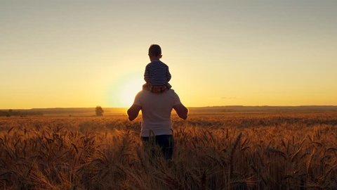 Happy family father mom and two sons walking in a wheat field and watching the sunset