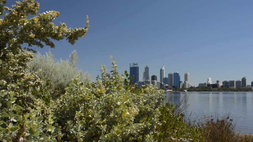 Tracking shot revealing the view of Perth City, from behind some native bushes,
