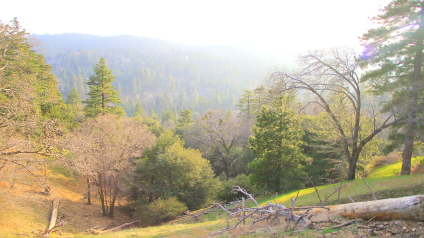 Time lapse of Beautiful Green Valley and Trees on Sunny Day