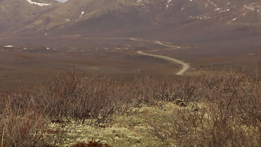 Dempster Highway in Canada Yukon