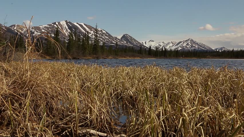 Beautiful lake along Denali Highway