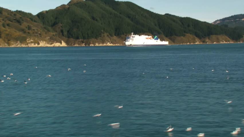 Picton, New Zealand, October 2011. Passenger ferry departing  Picton in the