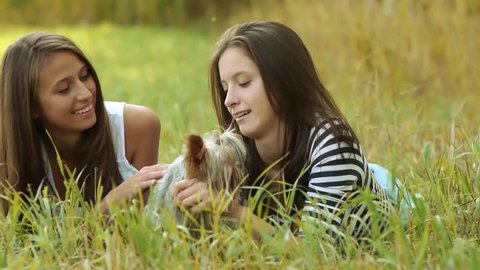 Two beautiful young women lie on green grass and play with little fluffy dog.
