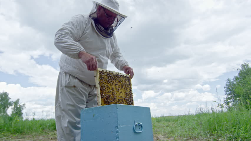 Honey Farm Worker in Protective Stock Footage Video (100% Royalty-free ...