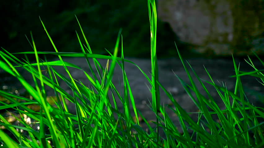 The shore of a mountain river at sunset. Amazing nature theme.