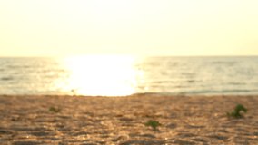 Unidentifiable man runs on beach at dawn in slow motion during sunrise in the morning. Defocused video.