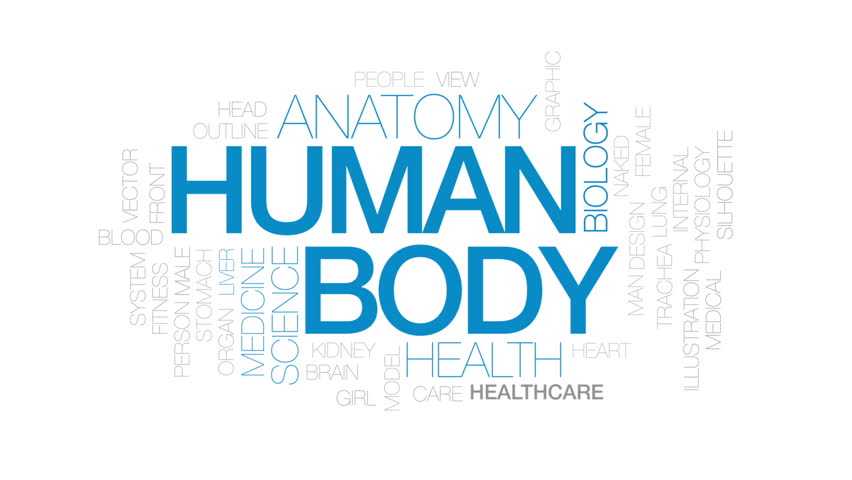 Video Stok Human Body Animated Word Cloud, (100% Tanpa Royalti) 30239272 |  Shutterstock