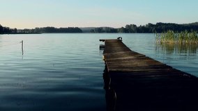 Lake at sunrise, bridge, ducks,  Masuria lake district – Stock video