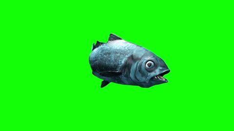 Fish Swim Green Screen 3D Rendering Animation