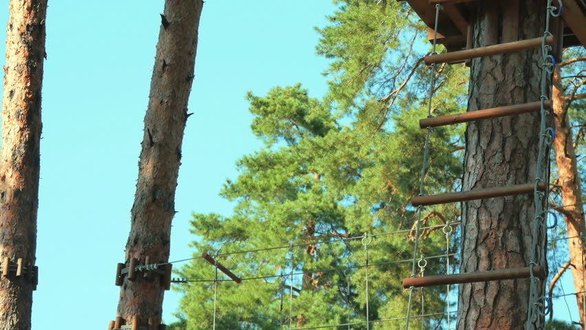 Rope park on trees