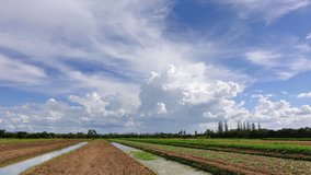 Time lapse of white clouds moving and rolling with blue sky over the vegetable plot and watercourse. 4k footage.