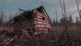 small old wooden hut in the forest timelapse video