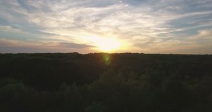 Flying backwards across trees during and epic sunset. 
