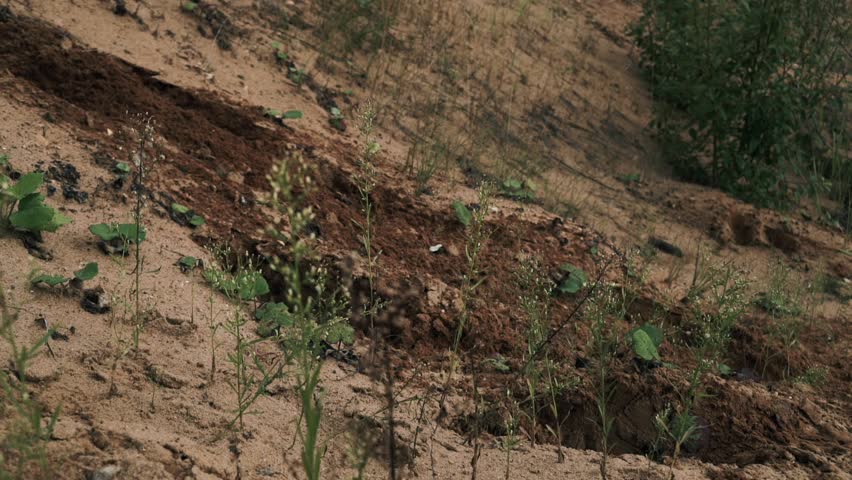 Legs american soldiers in military boots running down sand hill close up. Military soldiers running on sand