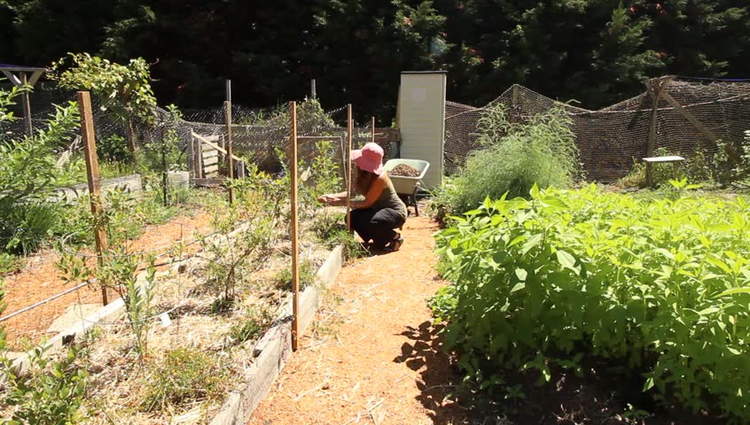 Woman walks through lanes touching plants, mostly from behind, in a beautiful garden on Vancouver Island, Canada