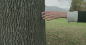 Detail on trunk and hands.Caucasian blond woman slomo walking toward fall woods touching tree.Following behind gimbal.Storytelling real young adult people alone in autumn forest.4k slow motion video
