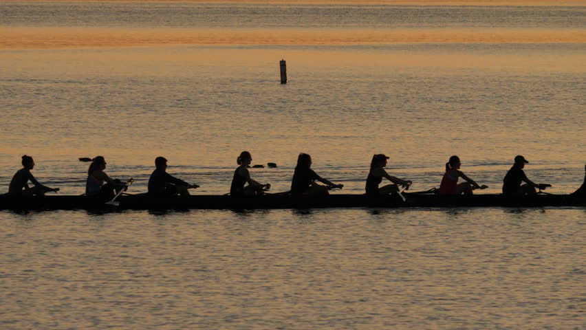 silhouette rowing team on lake unison Stock Footage Video (100% Royalty ...