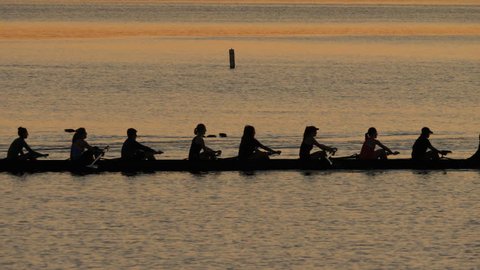 Silhouette of Rowing Team on Lake, in unison. 4K UHD.