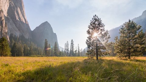 CALIFORNIA - USA, AUGUST 2017: Yosemite Valley evening fields view