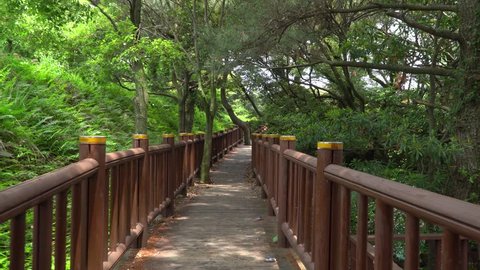 Wooden trail at the side of Soesokkak in Jeju. Soesokkak is a attraction famous for its beautiful terrain formed by stream and seawater erosion in rocks made of lava flow.
