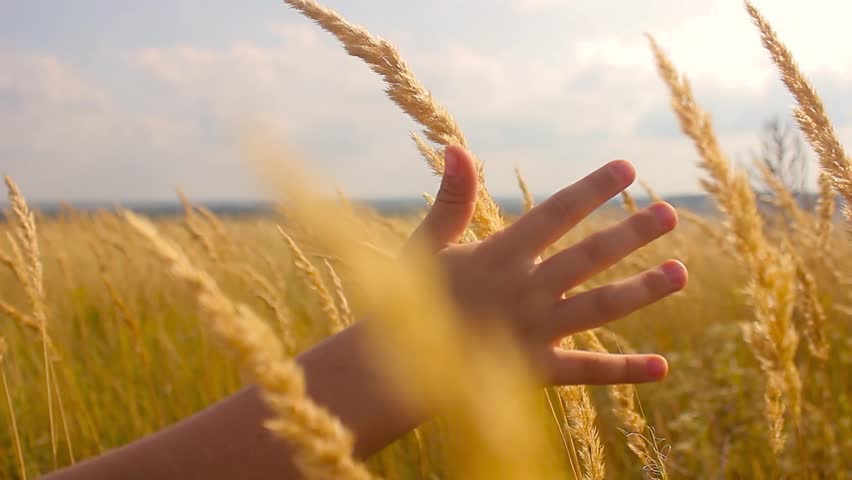 Little girl to wave hands on meadow with sunset. Happy pretty girl in field at sunset. | Shutterstock HD Video #30302887