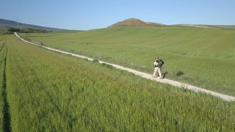 Pilgrim walks through fields of wheat