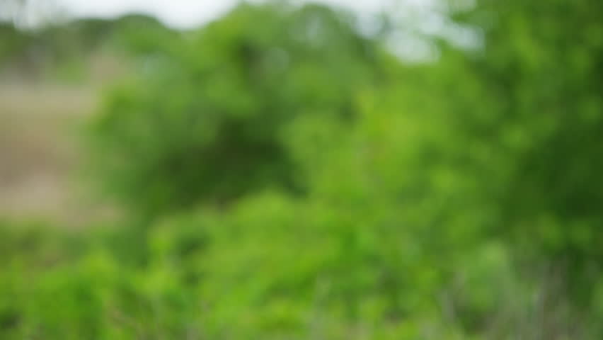 Healthy active Caucasian American male and female seniors travellers navigating with touchscreen technology enjoying their hiking outdoors RED DRAGON