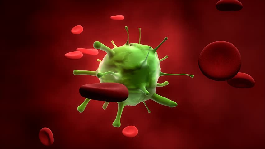Virus cell infection in bloodstream.