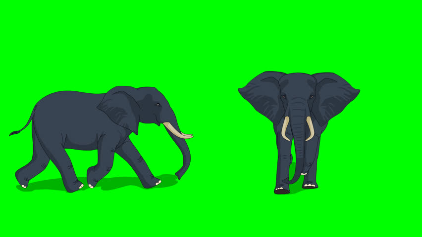 elephant walk animation: стоковое видео (без лицензионных платежей), 303318...
